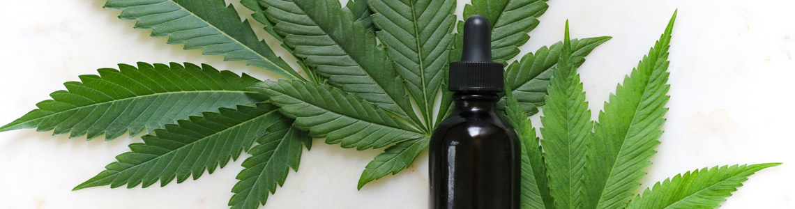 CBD Oil: The It-Medicine of the Moment? hero image